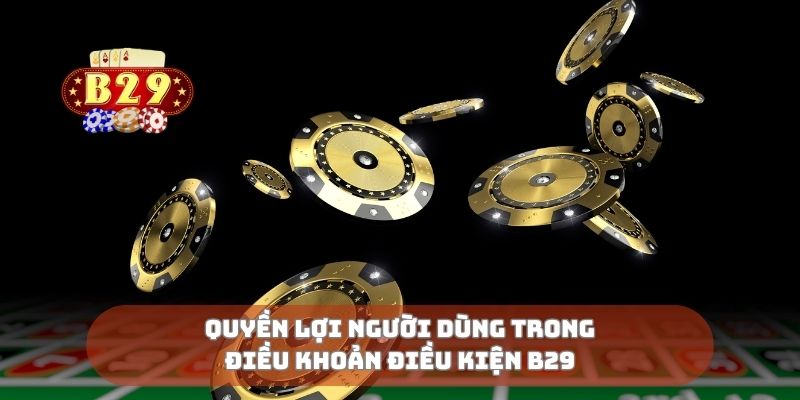 Quyền lợi người dùng trong điều khoản điều kiện B29